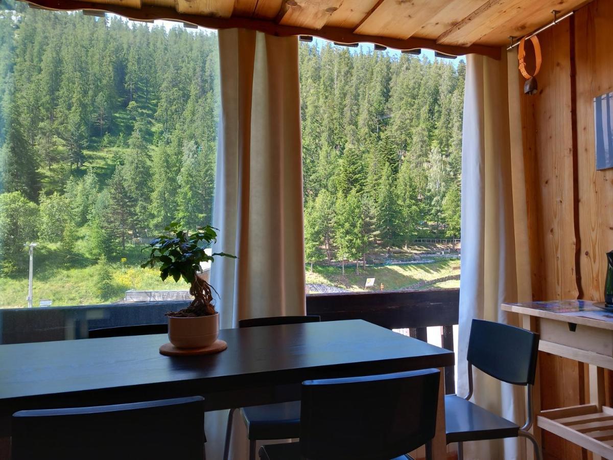 Apartment Tres Agreable 2 Pieces Au Pied Des Pistes Valdeblore