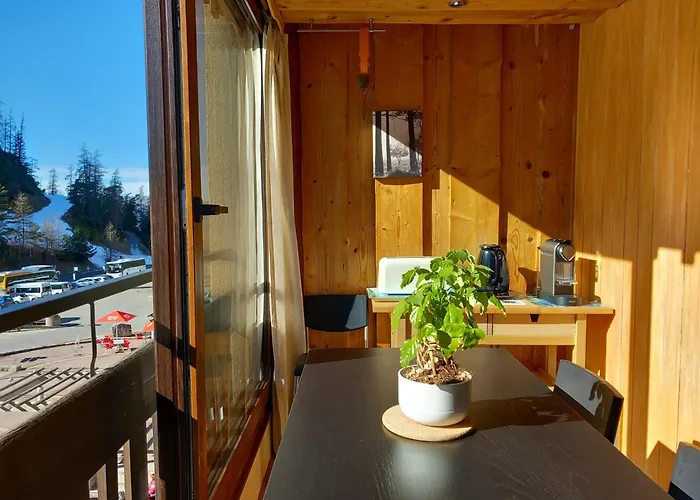 Tres Agreable 2 Pieces Au Pied Des Pistes