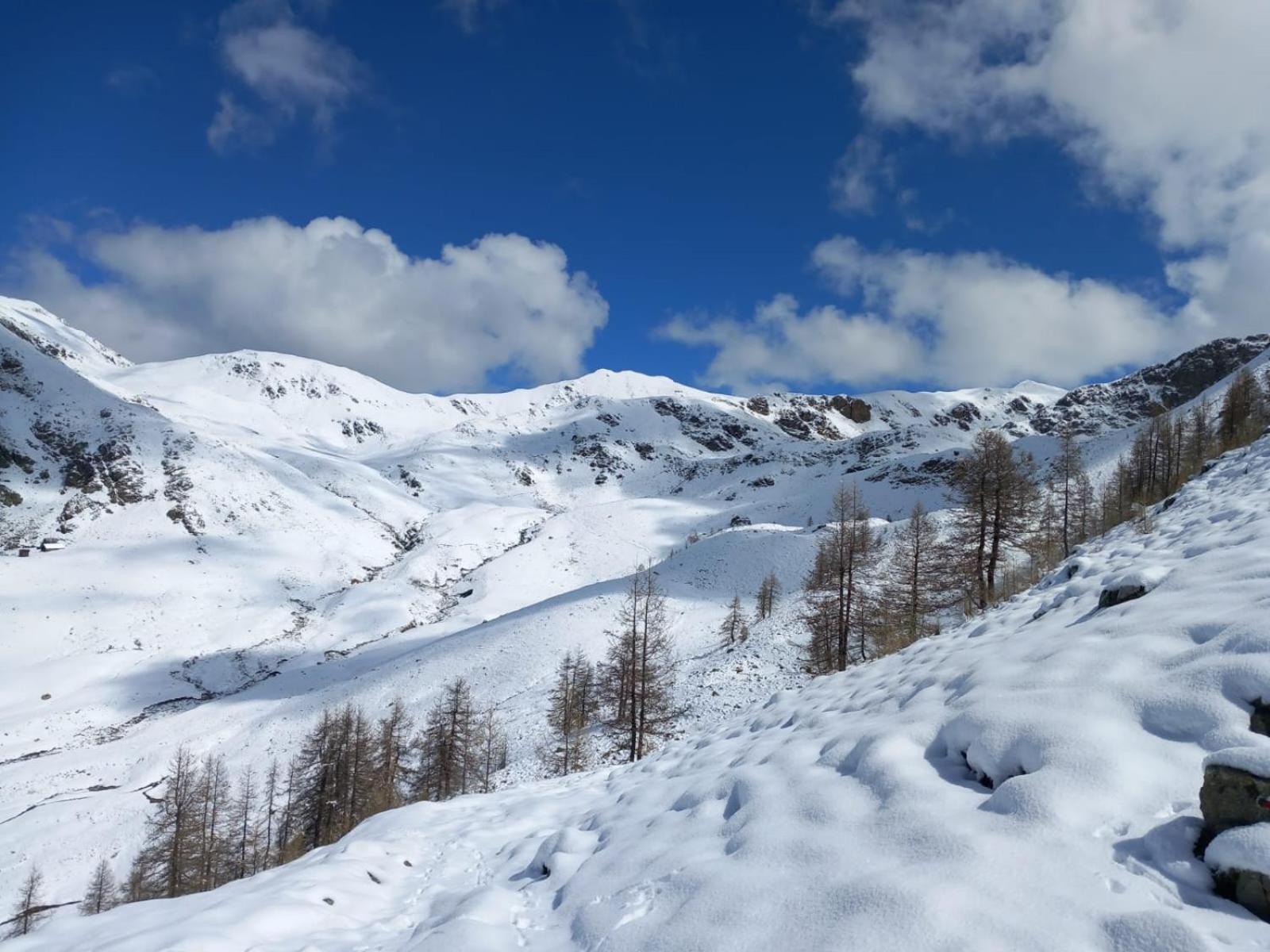 Apartment Tres Agreable 2 Pieces Au Pied Des Pistes
